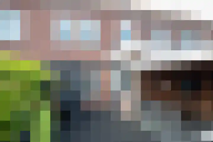Admiraal de Ruyterstraat 17 Genemuiden thumbnail 22