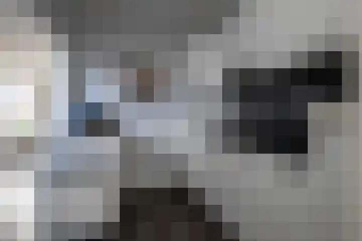 Admiraal de Ruyterstraat 17 Genemuiden thumbnail 4