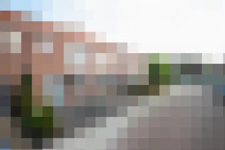 Admiraal de Ruyterstraat 17 Genemuiden thumbnail 6