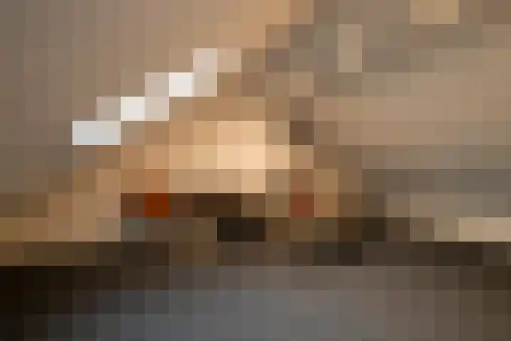 Admiraal de Ruyterstraat 3 Genemuiden thumbnail 37