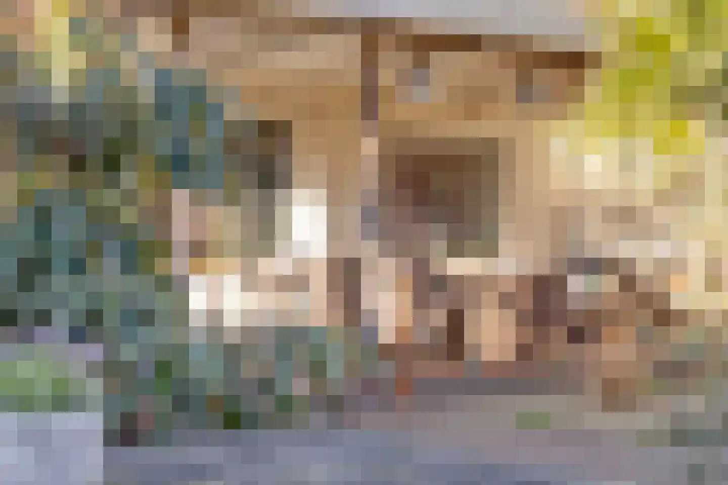 Admiraal de Ruyterstraat 65 Aalten thumbnail 30