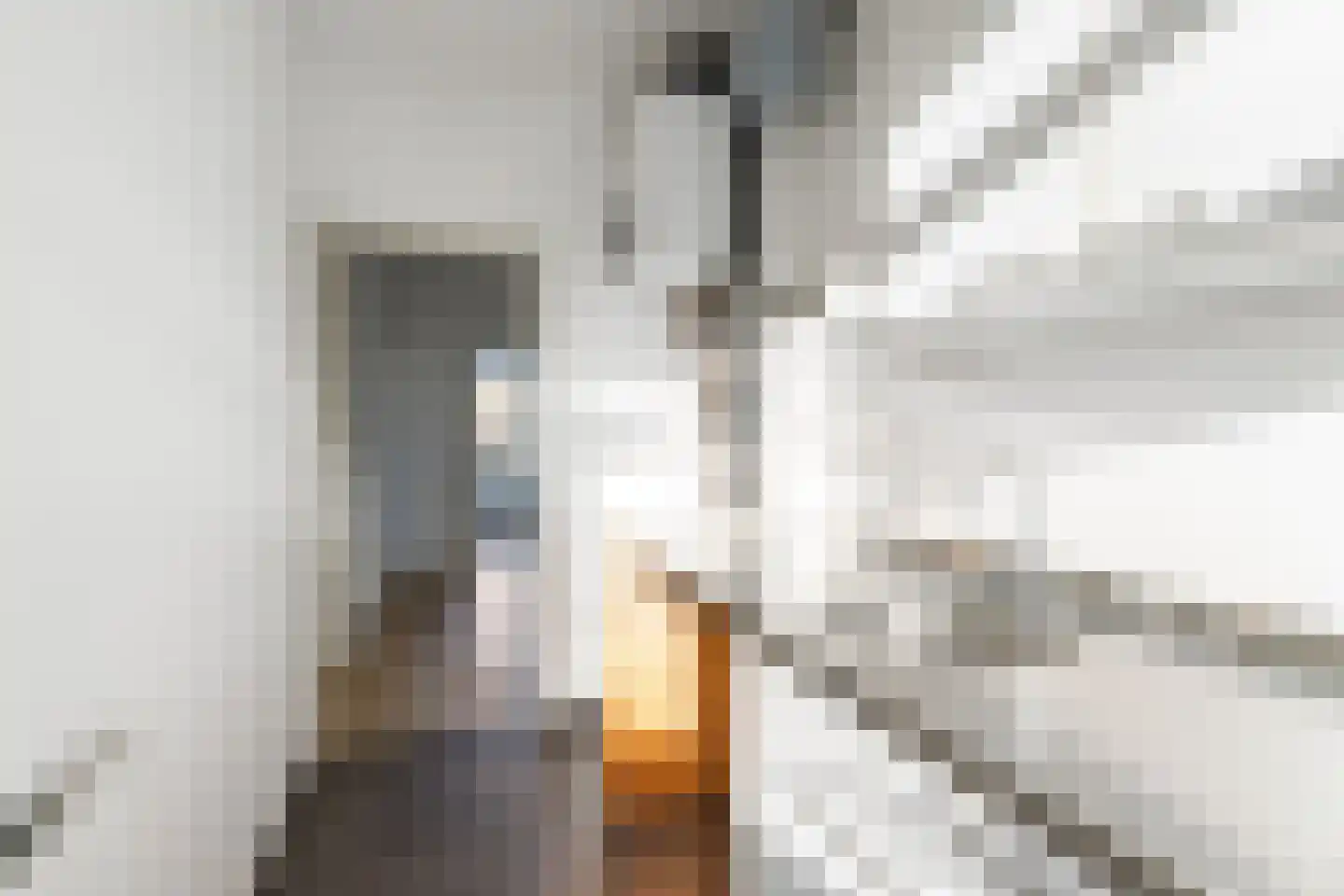 Admiraal de Ruyterweg 10 A Rotterdam thumbnail 12