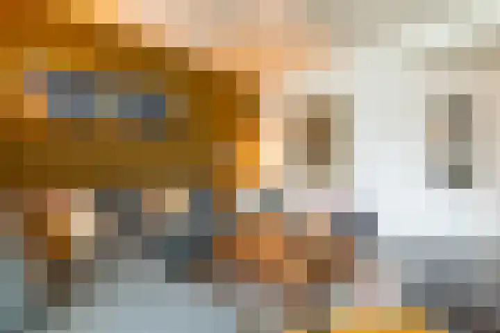 Admiraal de Ruyterweg 22 Wierden thumbnail 12