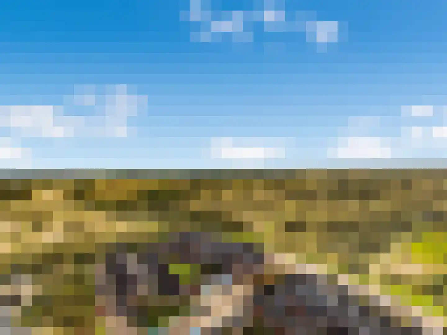Admiraal de Ruyterweg 25 Egmond aan Zee thumbnail 8