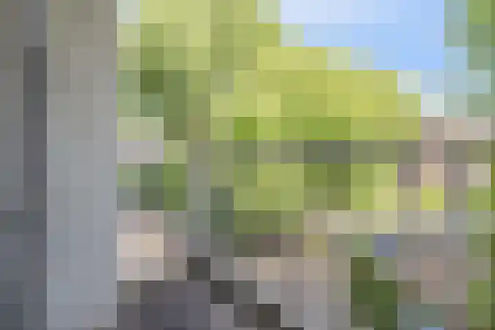 Admiraal de Ruyterweg 30 C Rotterdam thumbnail 5