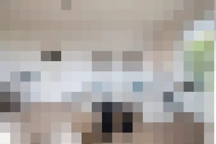 Admiraal de Ruyterweg 32 D Rotterdam thumbnail 7