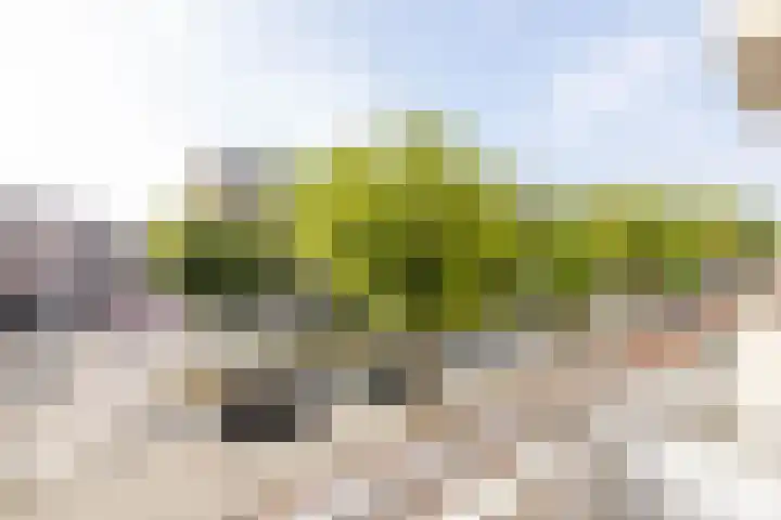 Admiraal de Ruyterweg 33 B Rotterdam thumbnail 5