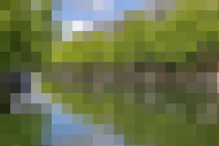 Admiraal de Ruyterweg 39 D Rotterdam thumbnail 34