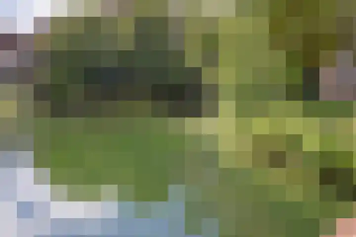 Admiraal de Ruyterweg 39 D Rotterdam thumbnail 35