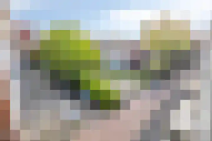 Admiraal de Ruyterweg 8 A Rotterdam thumbnail 23