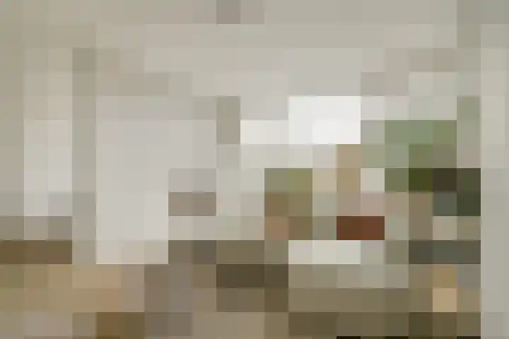 Admiraal de Ruyterweg 8 A Rotterdam thumbnail 7
