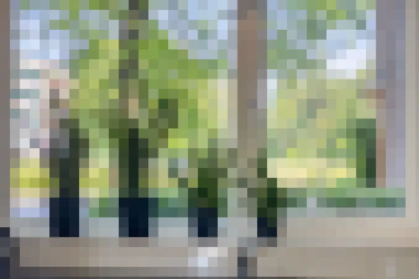 Admiraal Helfrichlaan 13 a Dieren thumbnail 12