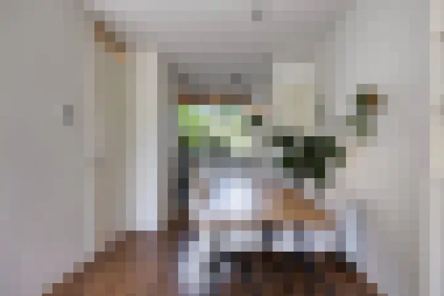 Admiraal Helfrichlaan 13 a Dieren thumbnail 15