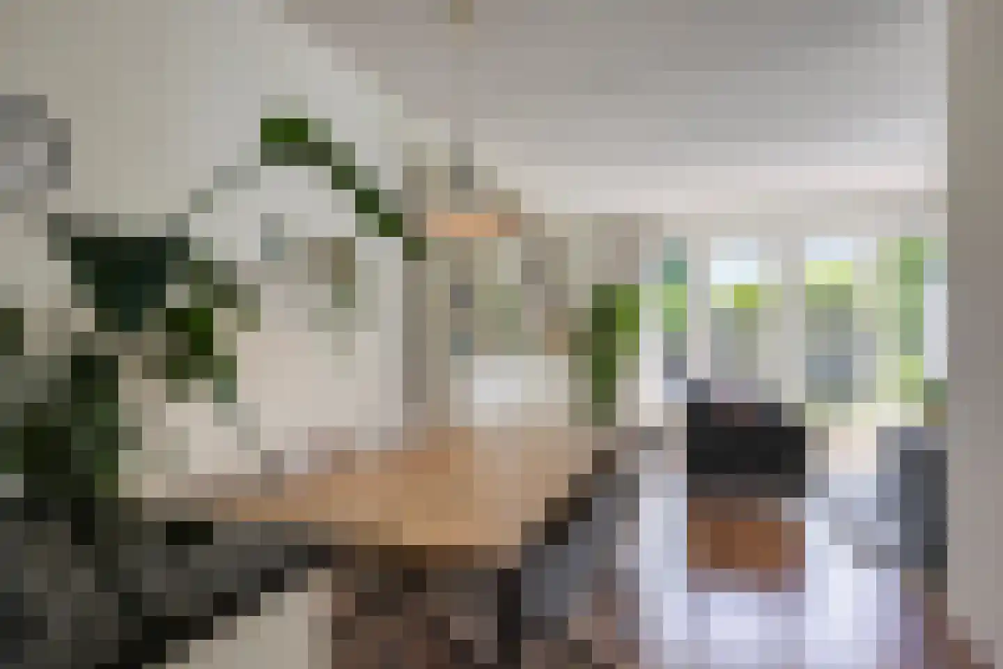 Admiraal Helfrichlaan 13 a Dieren thumbnail 18