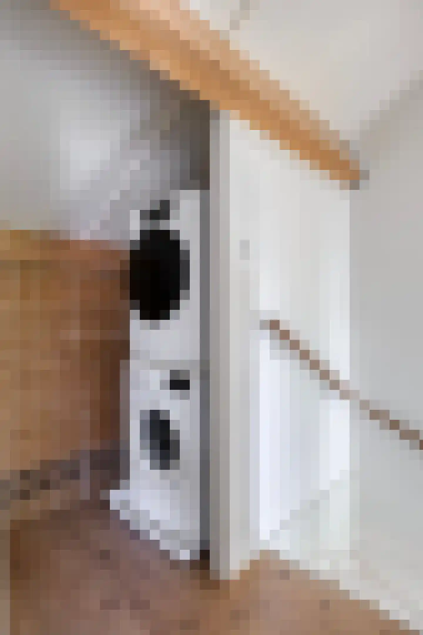 Admiraal Helfrichlaan 13 a Dieren thumbnail 37