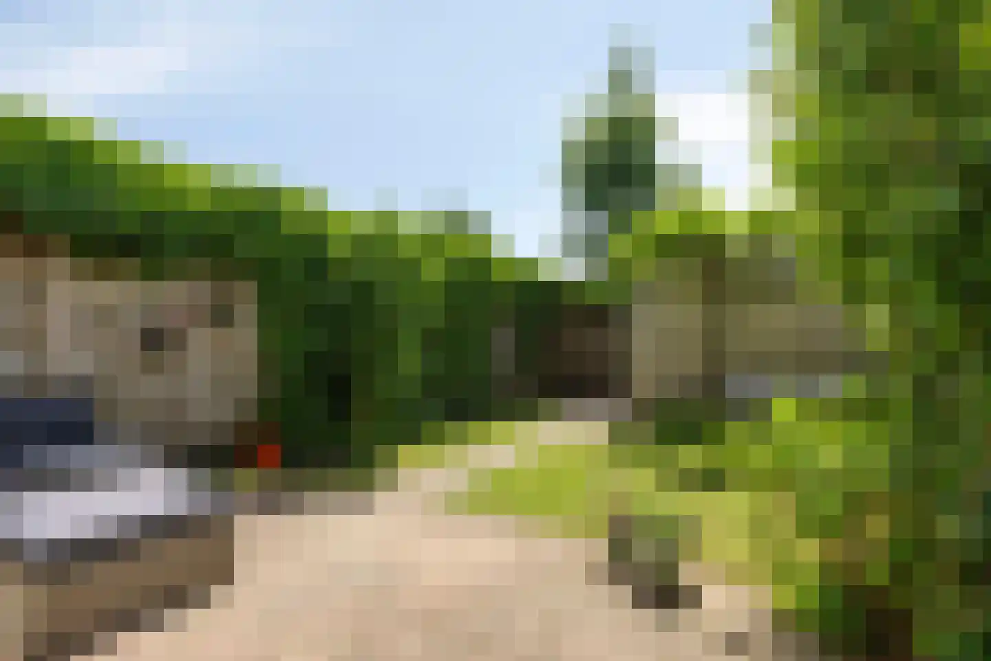 Admiraal Helfrichlaan 13 a Dieren thumbnail 45