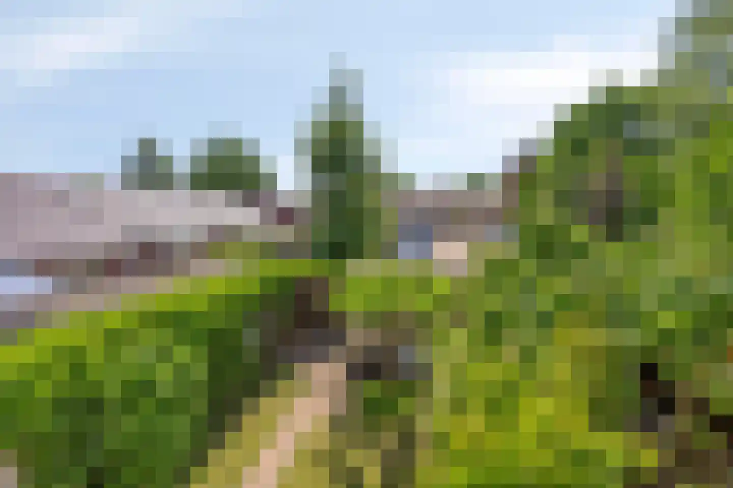 Admiraal Helfrichlaan 13 a Dieren thumbnail 46