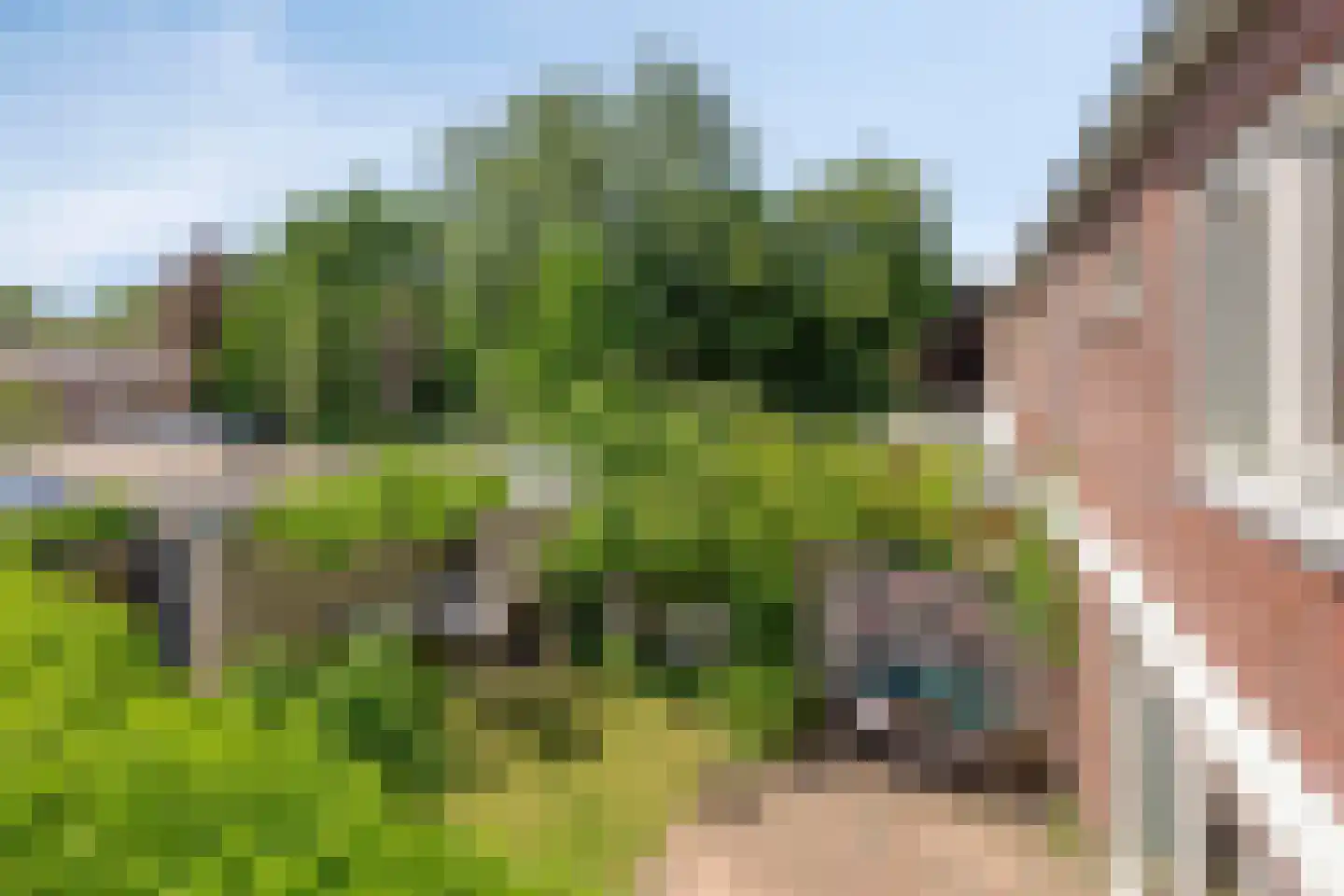 Admiraal Helfrichlaan 13 a Dieren thumbnail 47