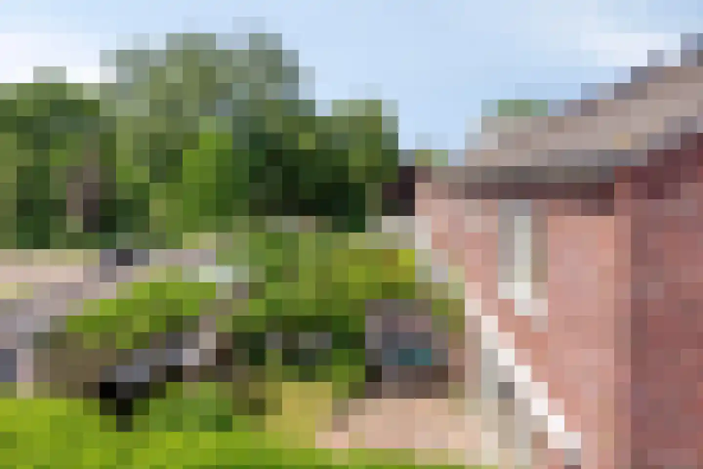 Admiraal Helfrichlaan 13 a Dieren thumbnail 48