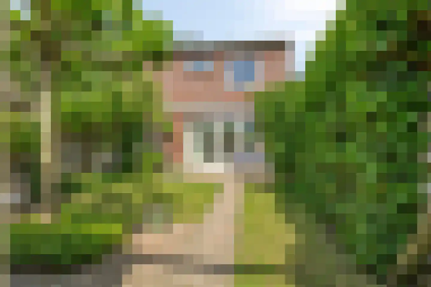 Admiraal Helfrichlaan 13 a Dieren thumbnail 5