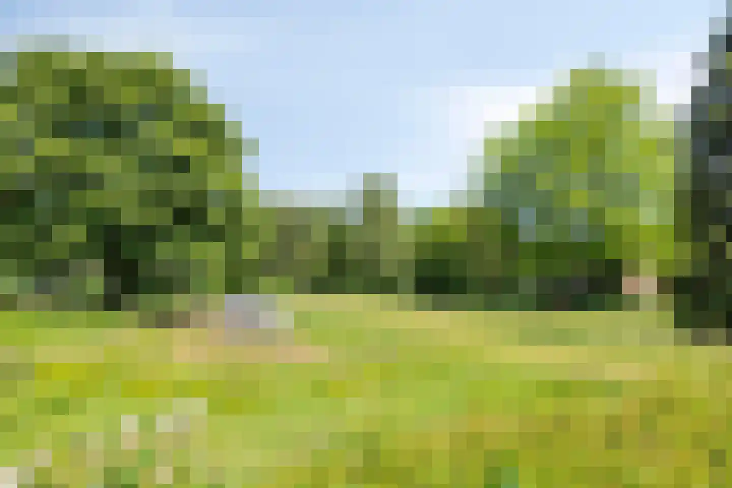 Admiraal Helfrichlaan 13 a Dieren thumbnail 53
