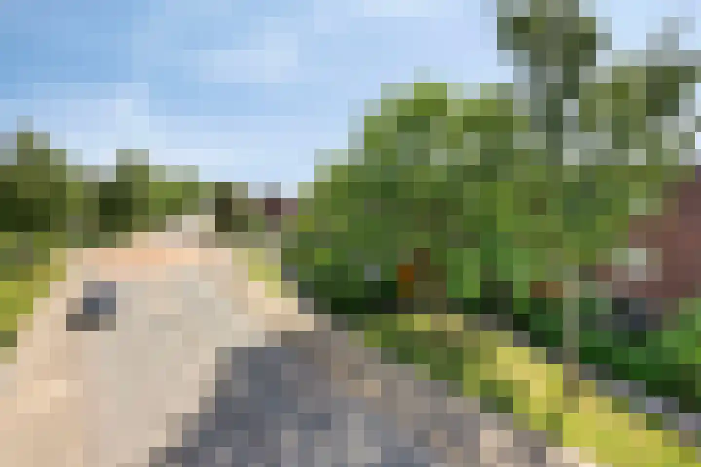 Admiraal Helfrichlaan 13 a Dieren thumbnail 57