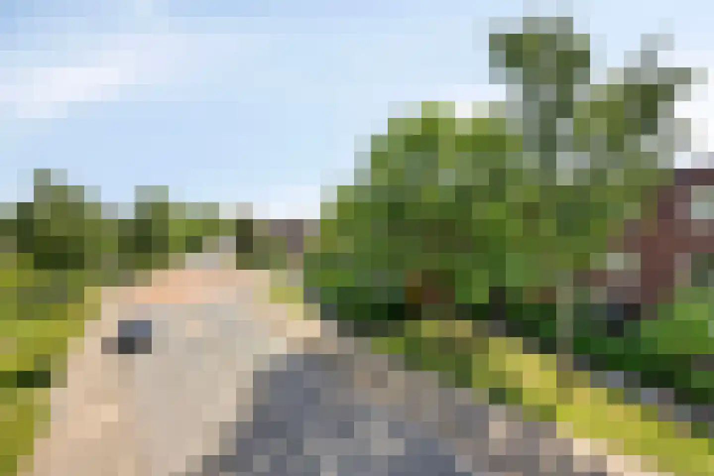 Admiraal Helfrichlaan 13 a Dieren thumbnail 58