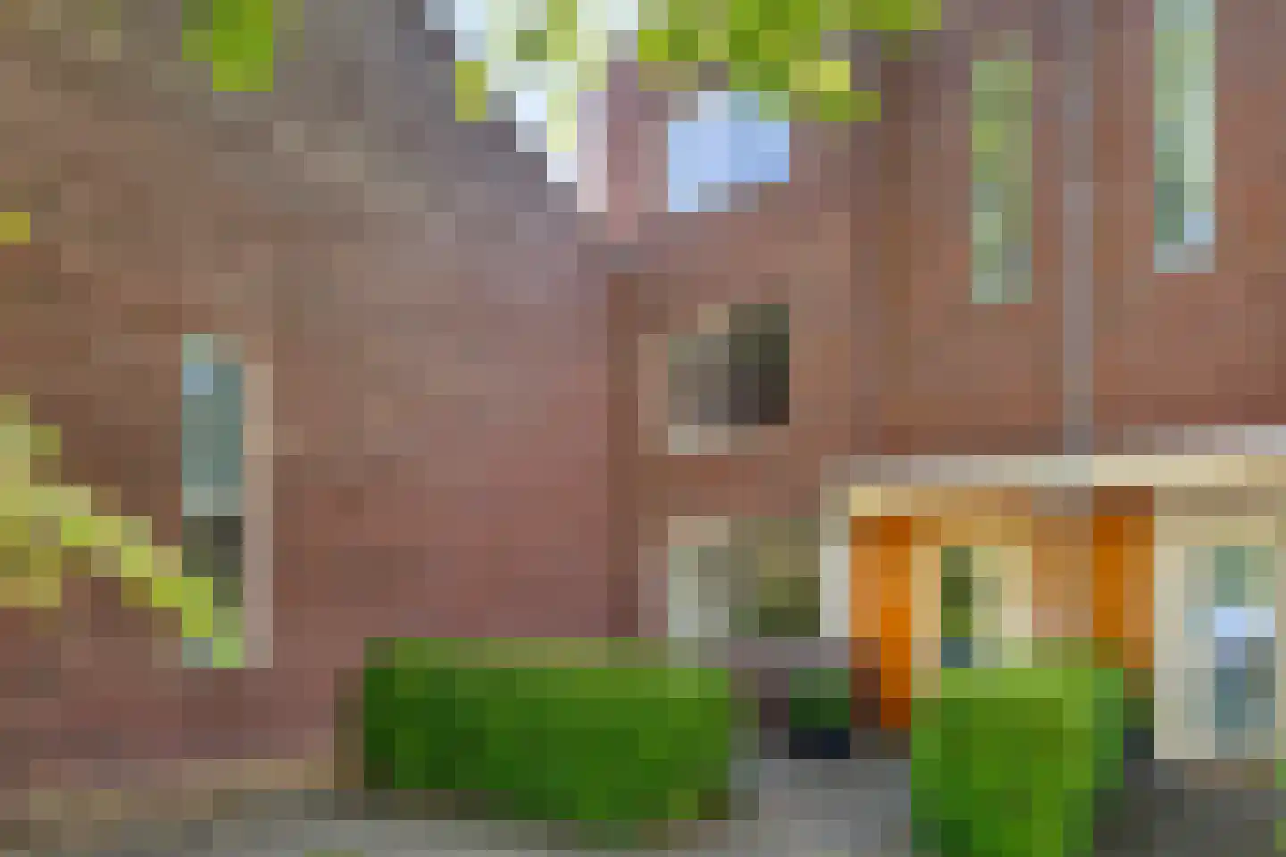 Admiraal Helfrichlaan 13 a Dieren thumbnail 7