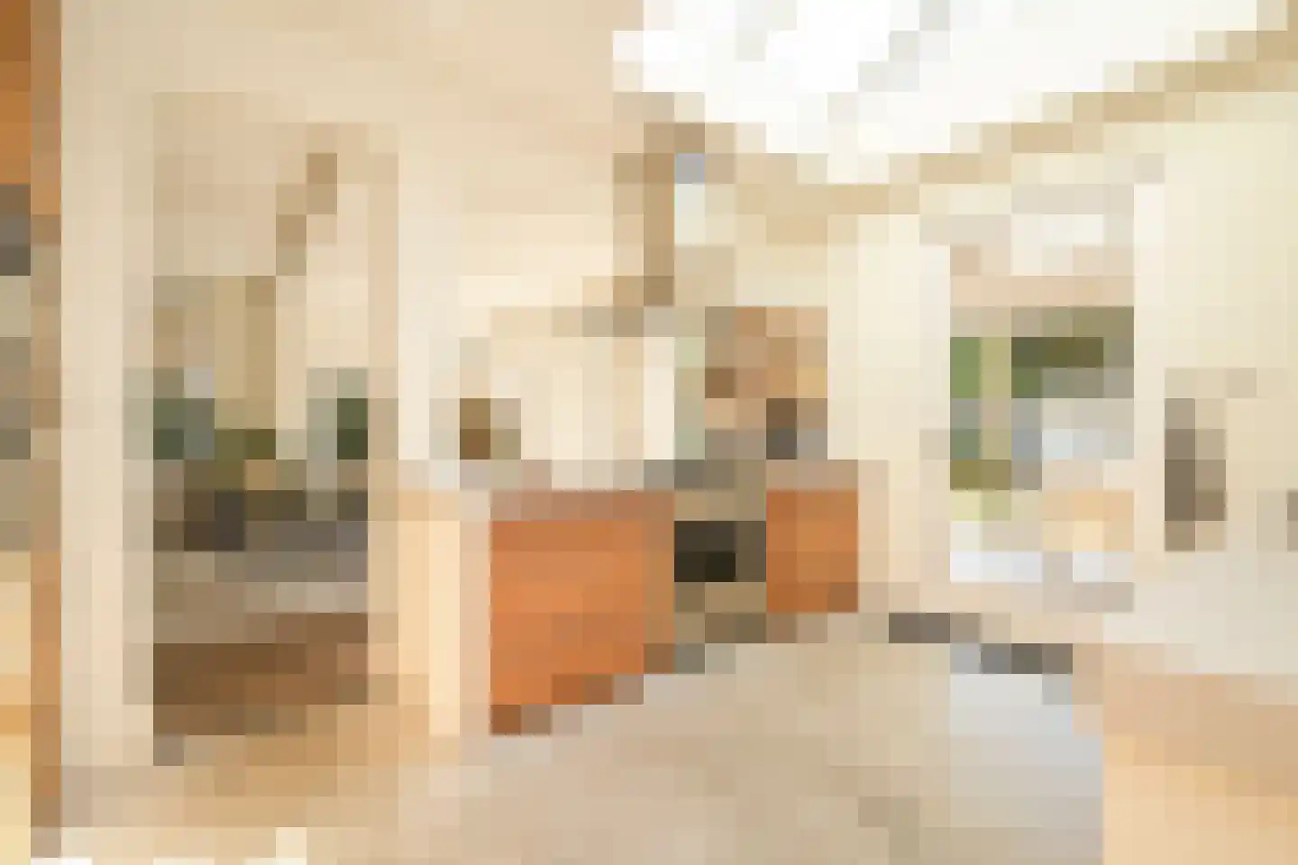 Admiraal Helfrichlaan 2 Wassenaar thumbnail 12