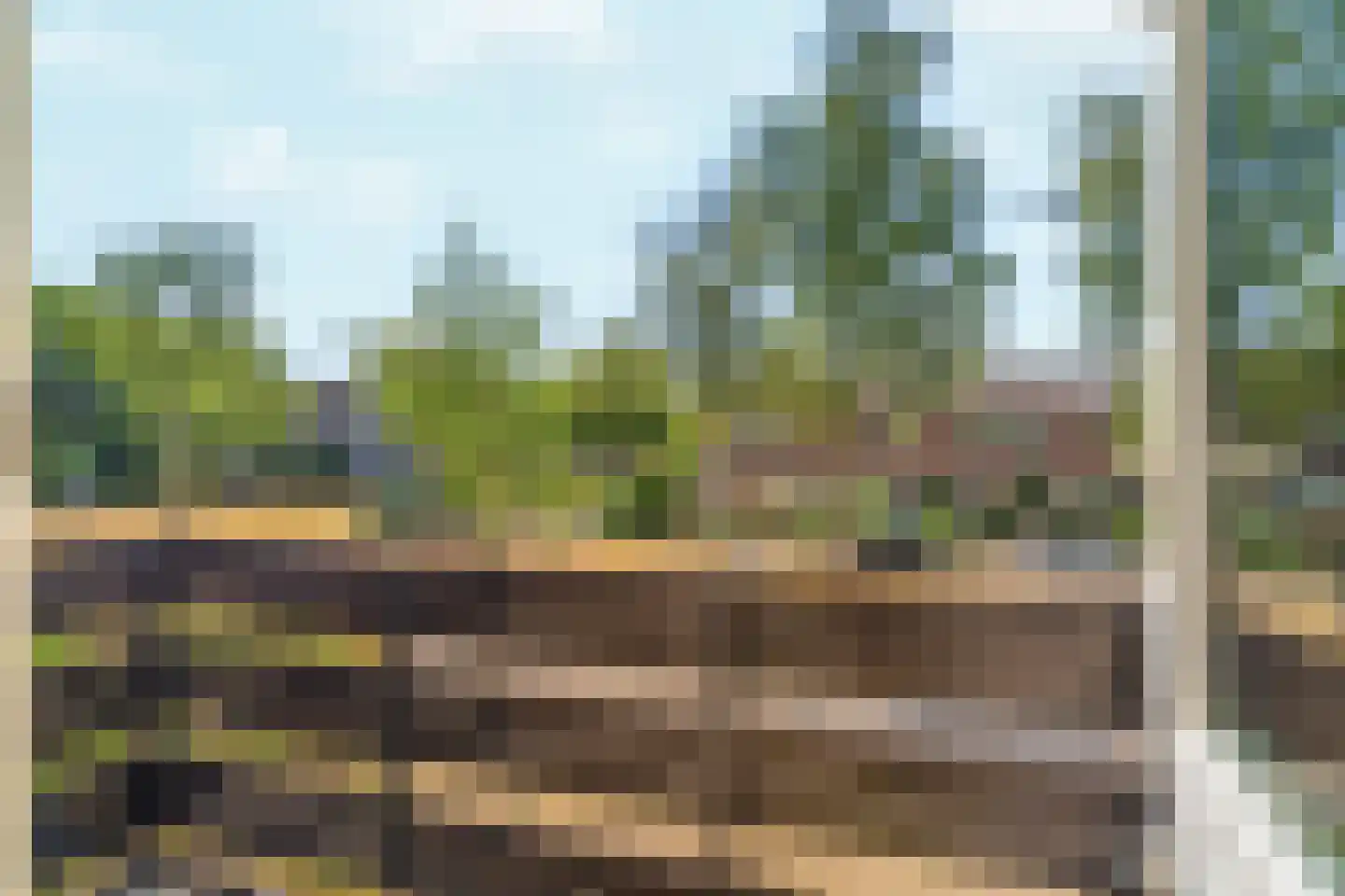 Admiraal Helfrichlaan 56 Dieren thumbnail 24