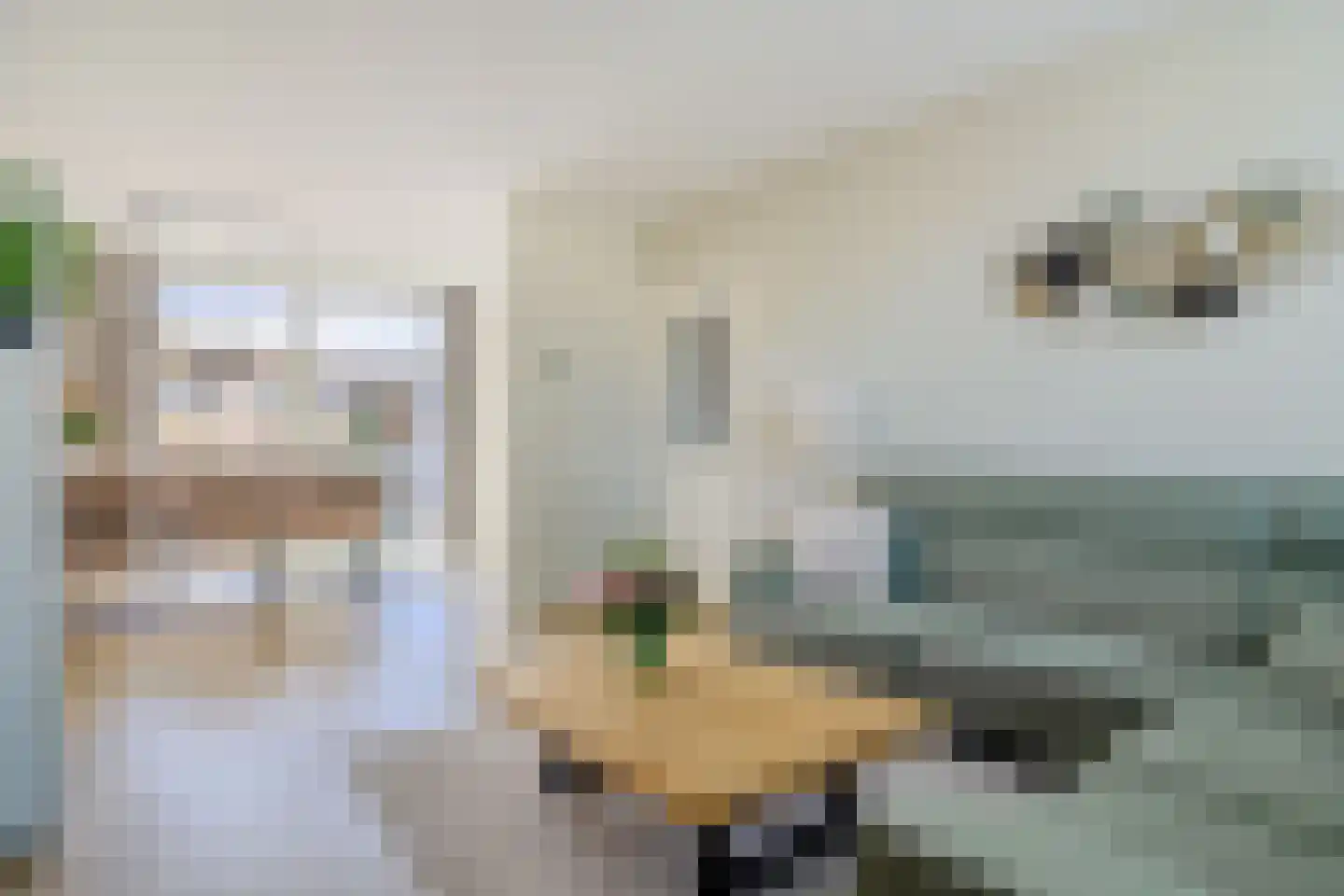 Admiraal Helfrichplein 2 Bleiswijk thumbnail 11