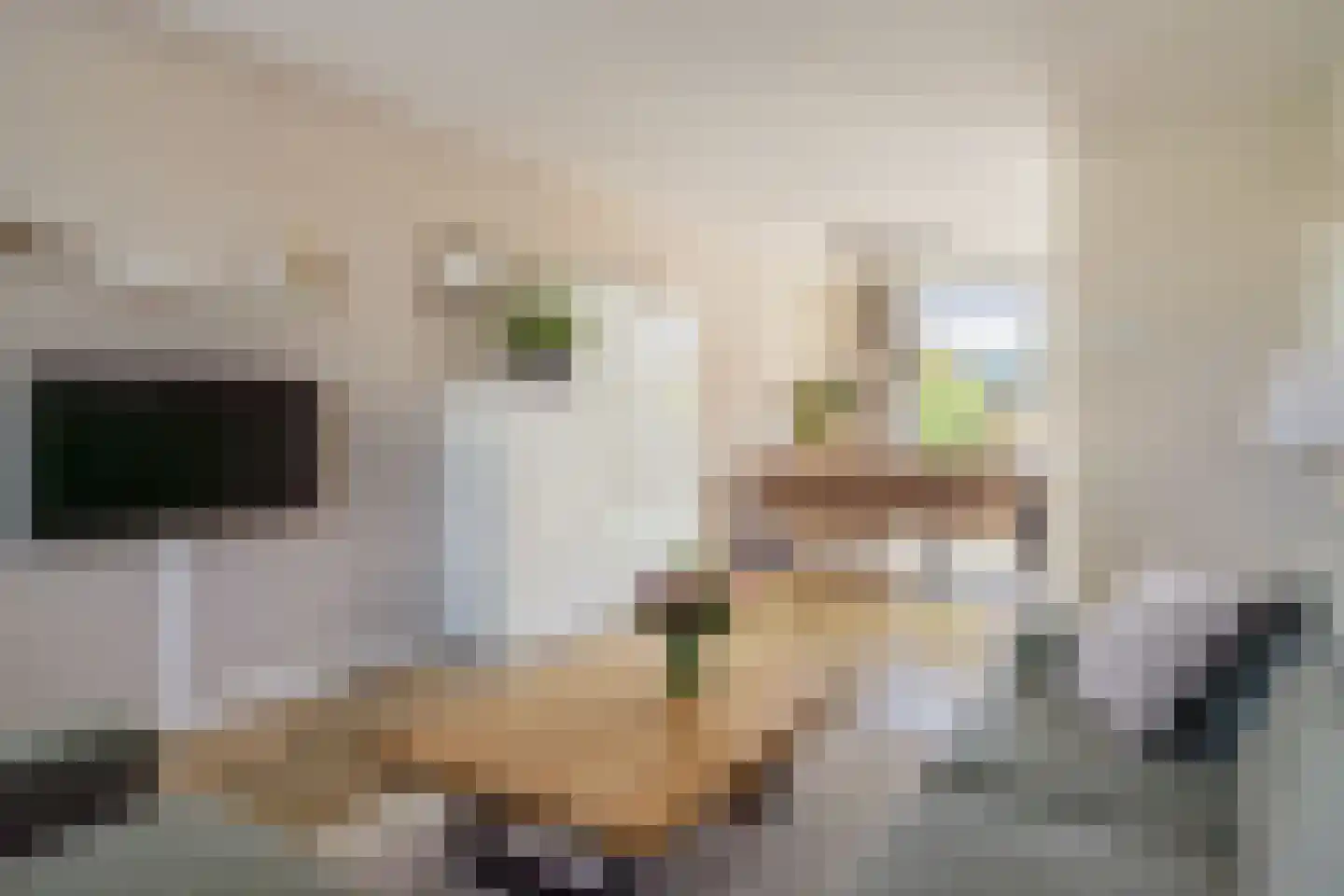 Admiraal Helfrichplein 2 Bleiswijk thumbnail 12