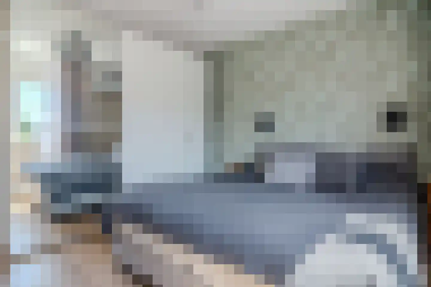 Admiraal Helfrichplein 2 Bleiswijk thumbnail 19