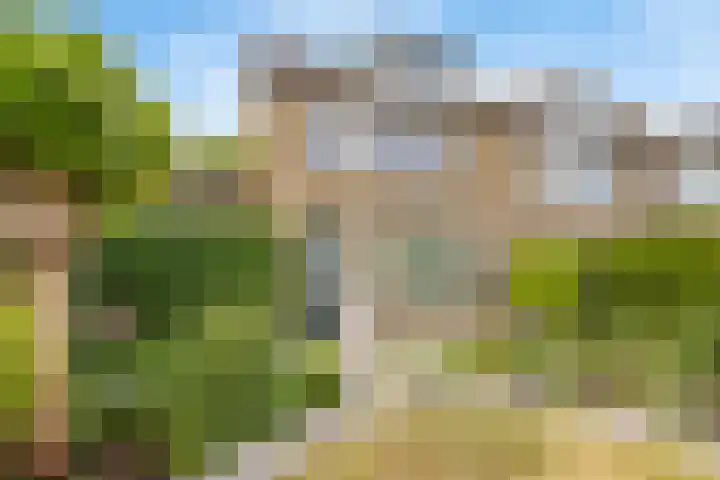 Admiraal Helfrichsingel 2 Oud-Beijerland thumbnail 23