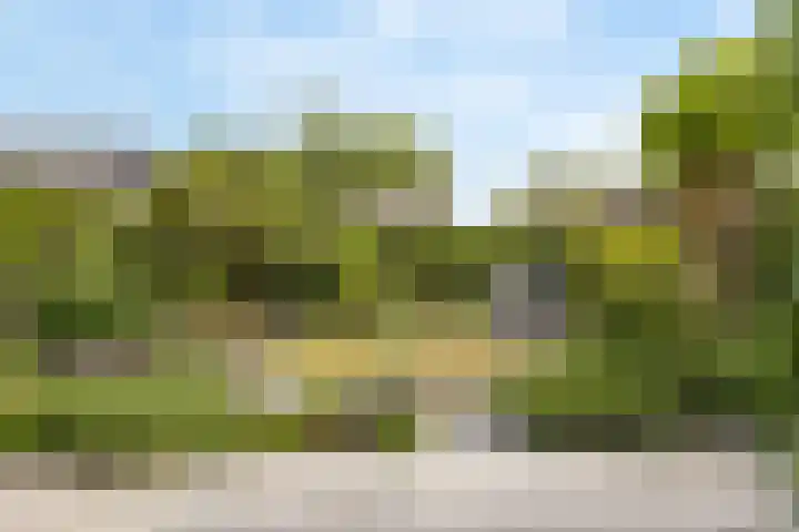 Admiraal Helfrichsingel 2 Oud-Beijerland thumbnail 25