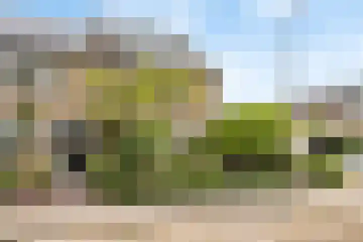 Admiraal Helfrichsingel 2 Oud-Beijerland thumbnail 27