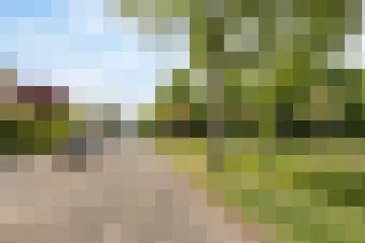 Admiraal Helfrichsingel 2 Oud-Beijerland thumbnail 28
