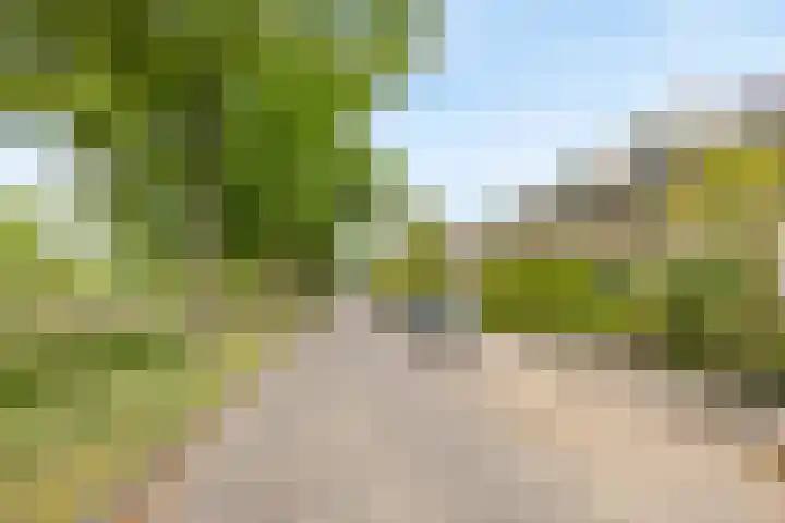 Admiraal Helfrichsingel 2 Oud-Beijerland thumbnail 29