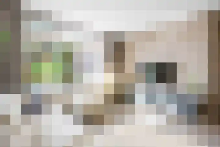 Admiraal Helfrichstraat 47 Zuidhorn thumbnail 8