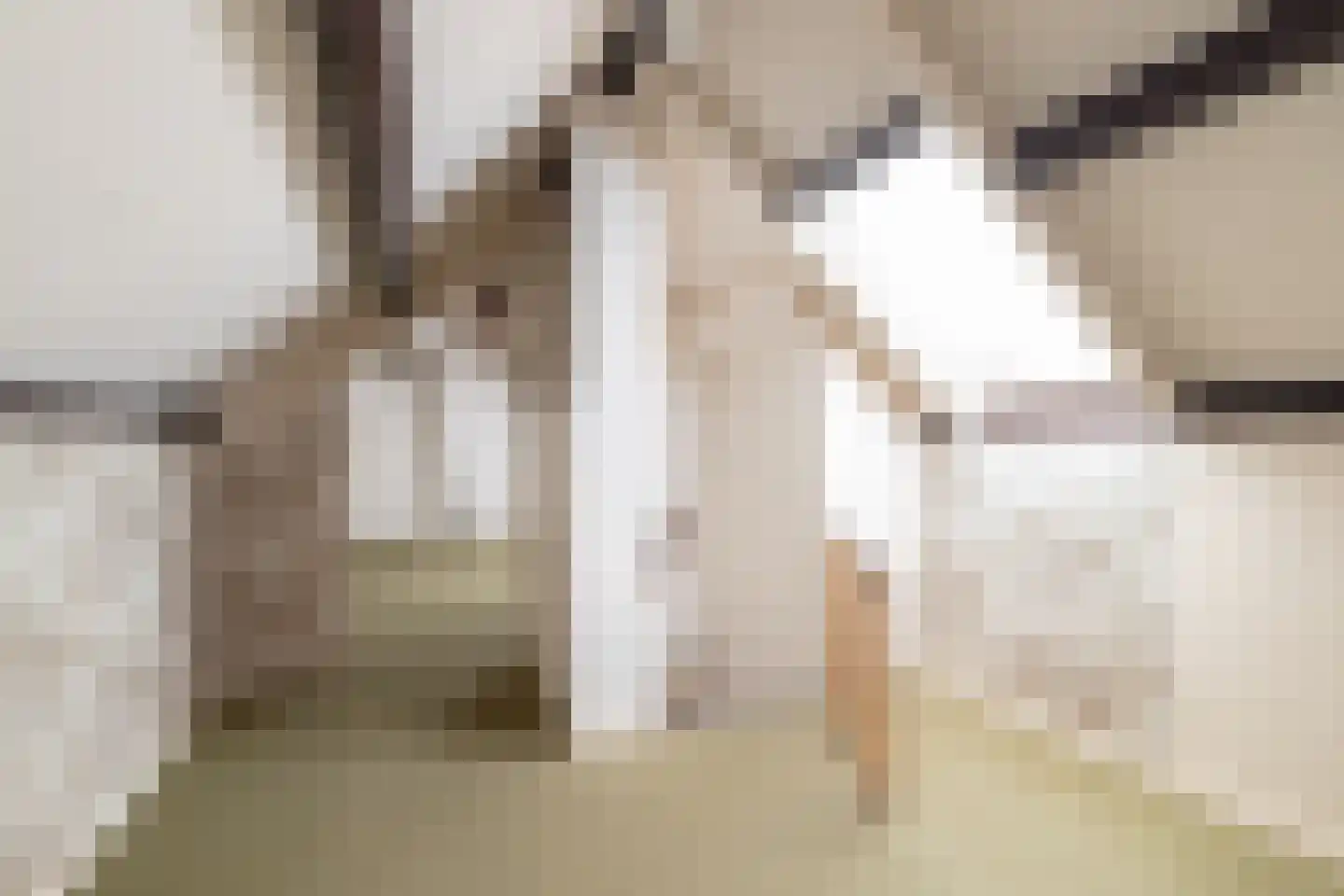 Admiraal Helfrichstraat 6 Zuidhorn thumbnail 33