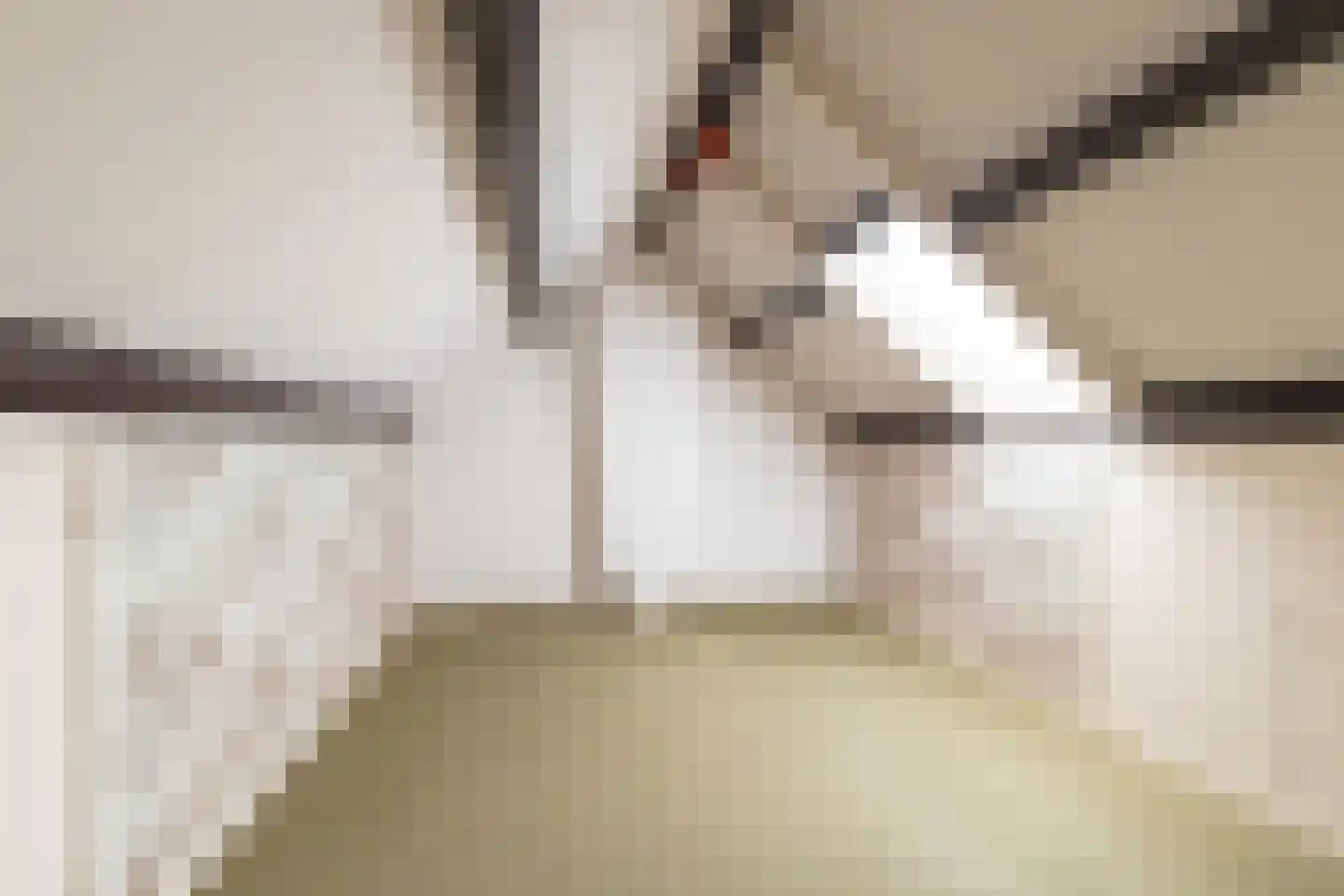 Admiraal Helfrichstraat 6 Zuidhorn thumbnail 34