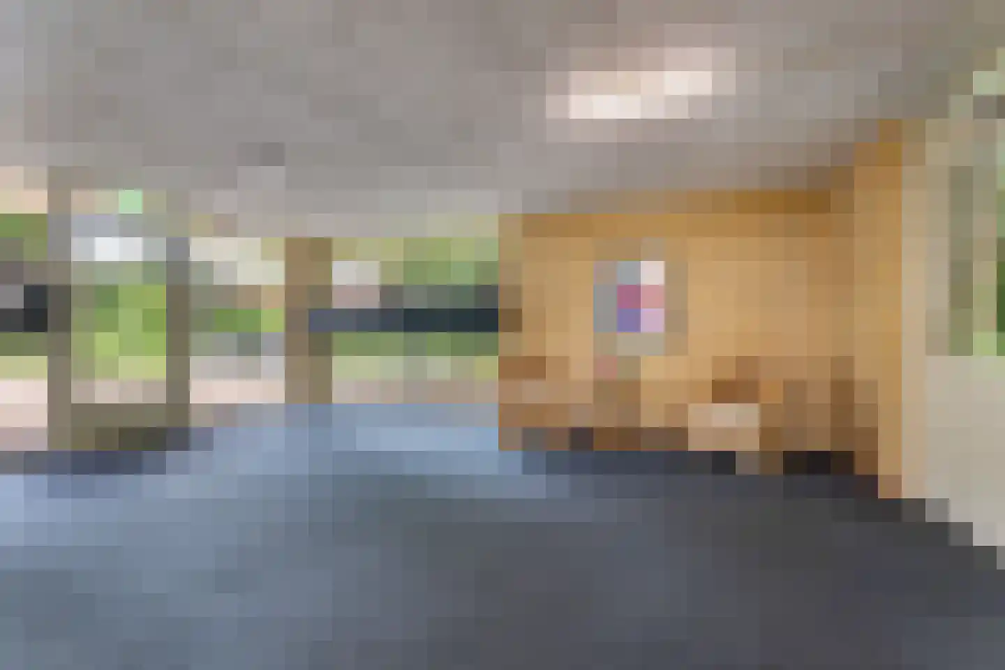 Admiraal Helfrichweg 30 't Harde thumbnail 15