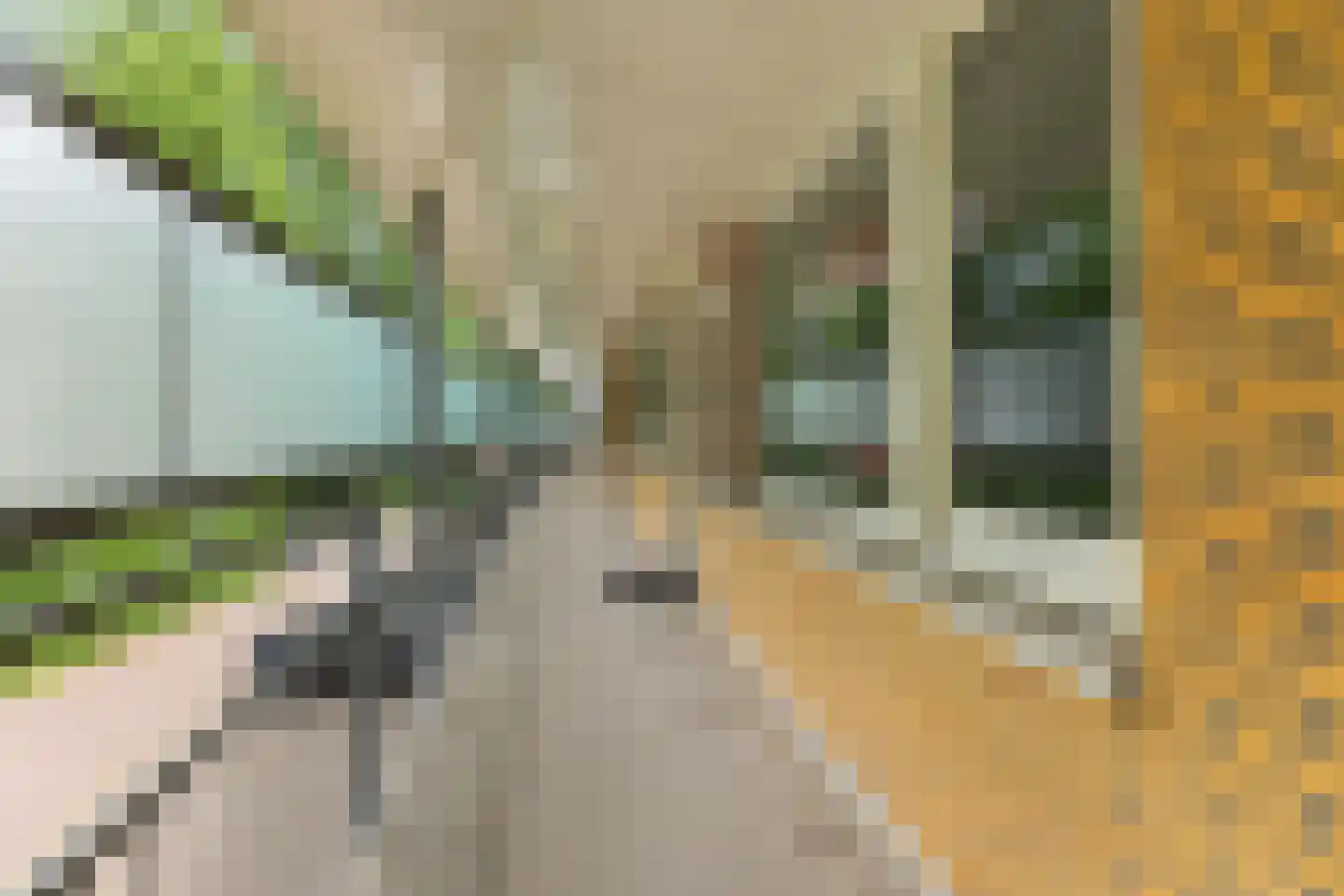 Admiraal Helfrichweg 30 't Harde thumbnail 19