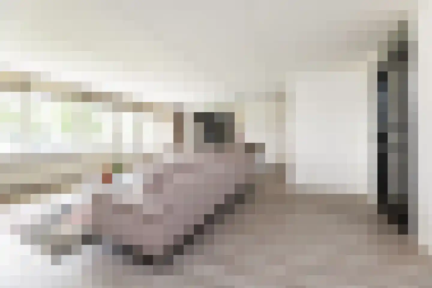 Admiraal Helfrichweg 30 't Harde thumbnail 23