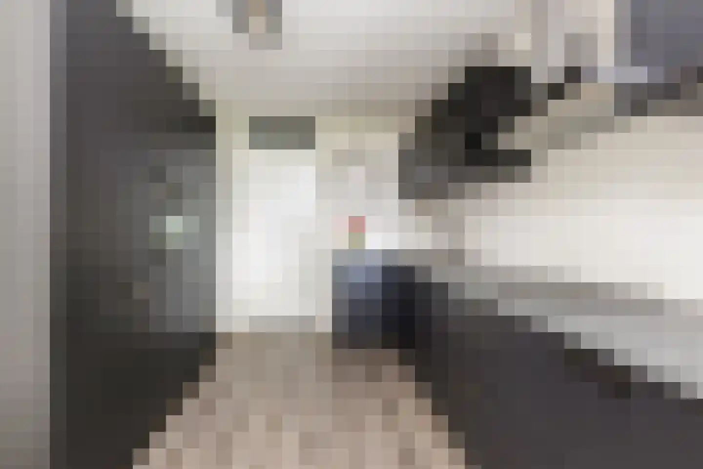 Admiraal Helfrichweg 30 't Harde thumbnail 32
