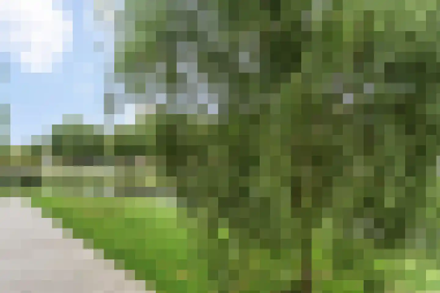 Admiraal Trompstraat 25 Zwijndrecht thumbnail 18