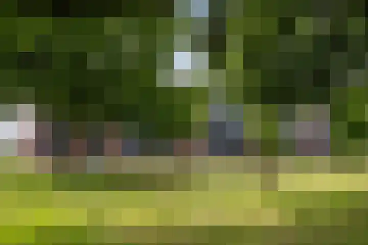 Admiraal Trompstraat 31 Zwijndrecht thumbnail 4