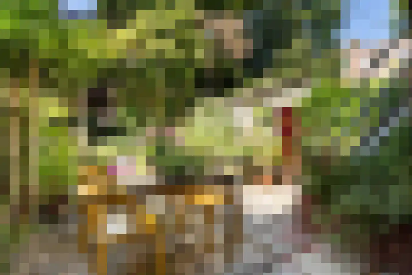 Admiraal van Gentstraat 10 Utrecht thumbnail 28