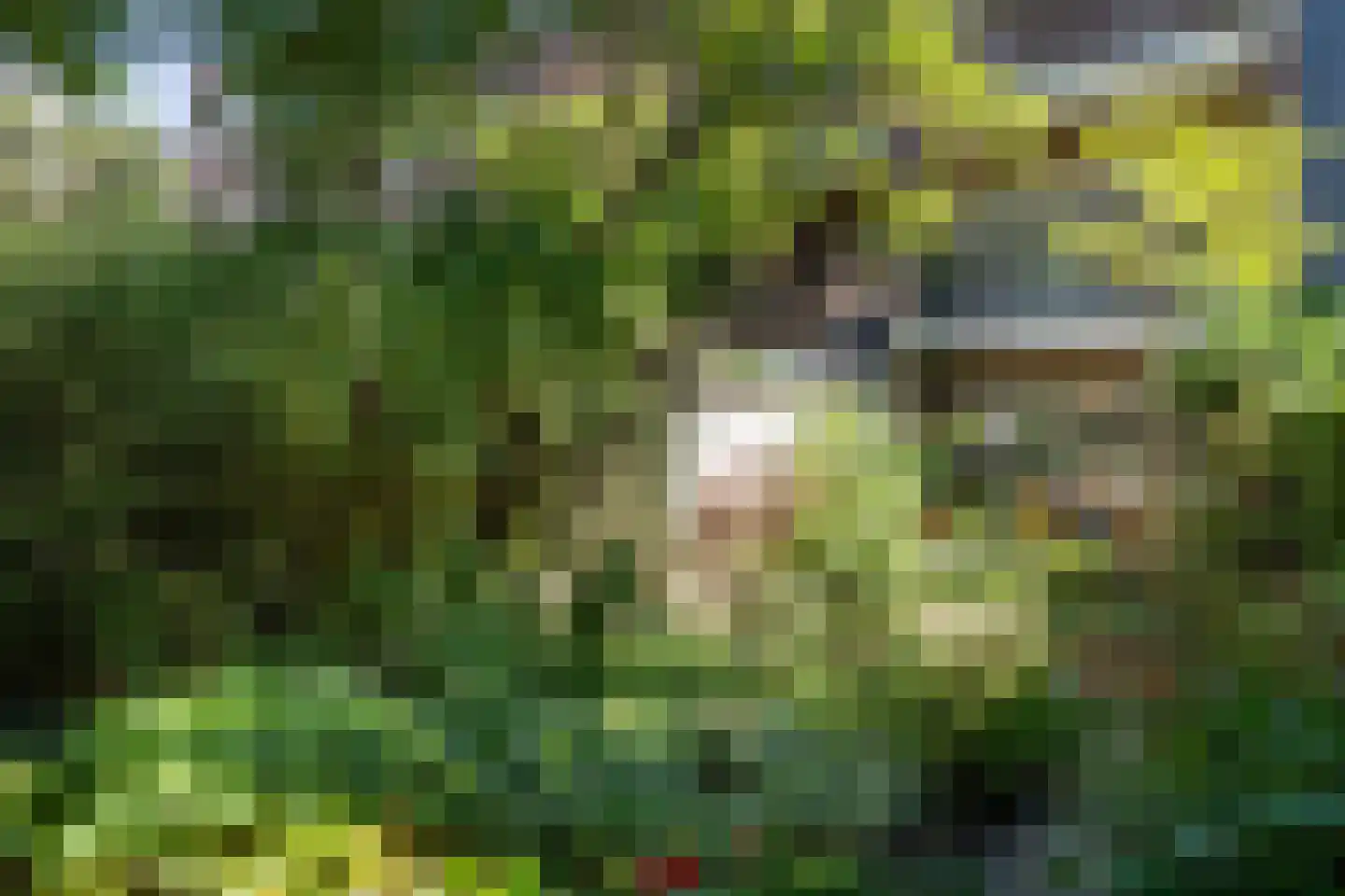 Admiraal van Gentstraat 10 Utrecht thumbnail 31