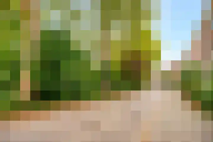 Admiraal van Gentstraat 18 A Utrecht thumbnail 24